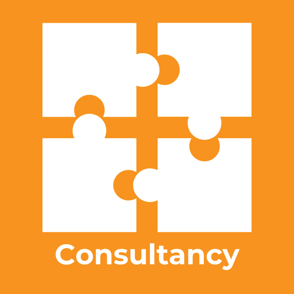 CWO Consultancy - diensten - consultancy - pictogram